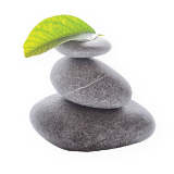 Green Habitat 1671512938 6dc18ecff267a461cecb